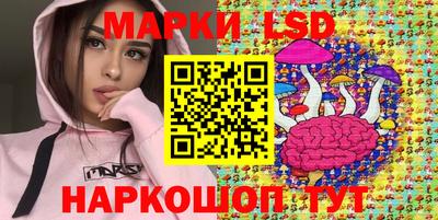 кокс Можга