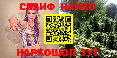 кокс Можга