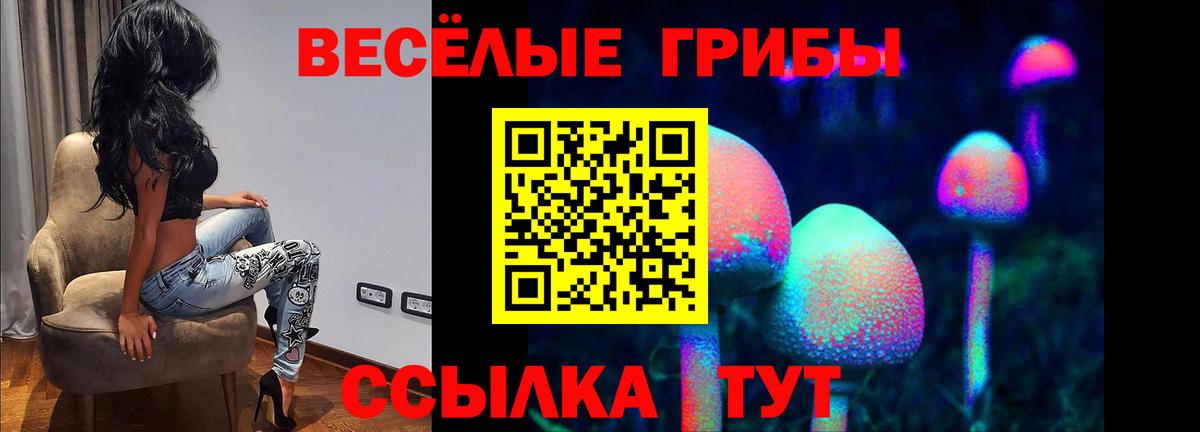 Галлюциногенные грибы Psilocybe  Вход с VPN  Воткинск  Галлюциногенные грибы Cubensis 